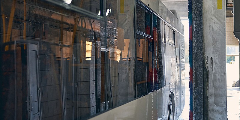 Mehrere Busse in einer Reihe mit Piccolonia Logo.